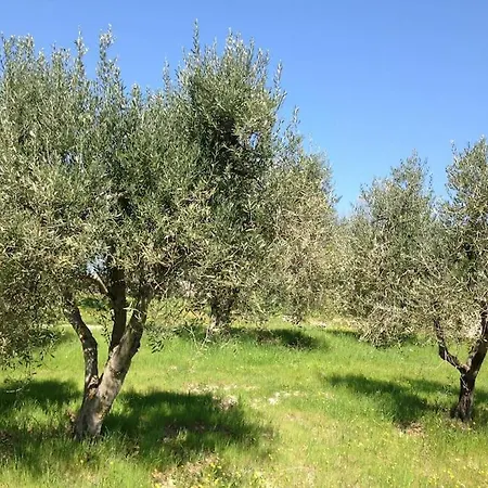 Appartement Il Melo *