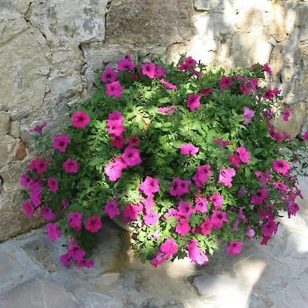 Appartement Il Melo *